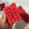 Rosas De Eva Vermelha